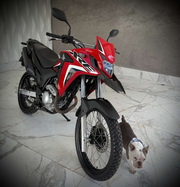 Xre bico M 